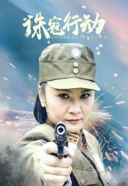 诛寇行动