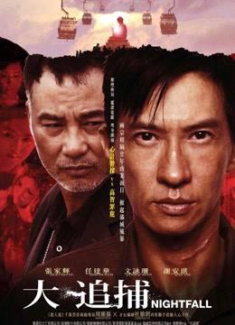 大追捕