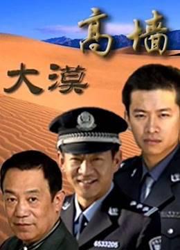 大漠高墙