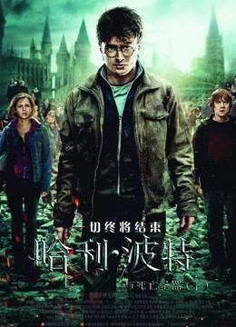 哈利·波特7：哈利·波特与死亡圣器下