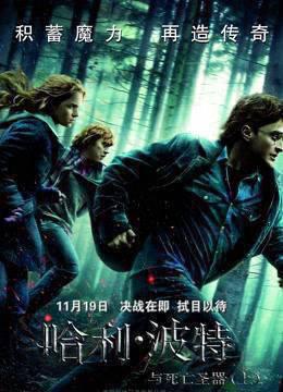 哈利·波特7：哈利·波特与死亡圣器上