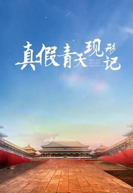 真假青天现形记