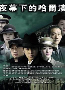 夜幕下的哈尔滨