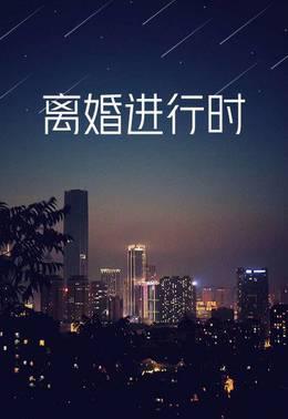 离婚进行时