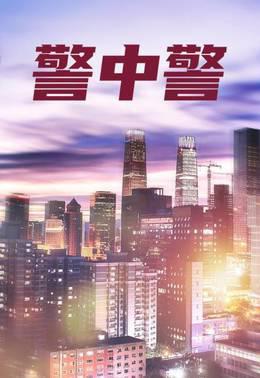 警中警