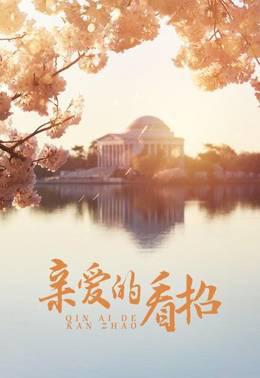 亲爱的看招