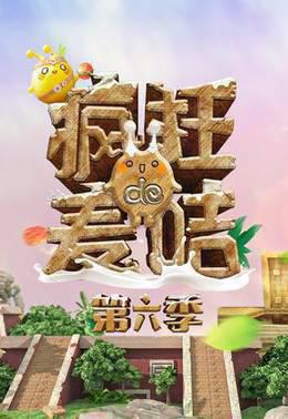 疯狂的麦咭第6季