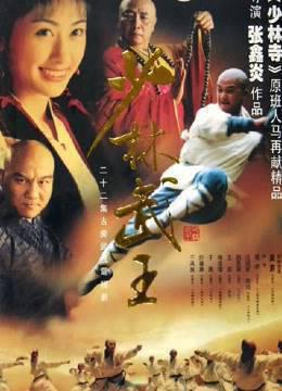 少林武王