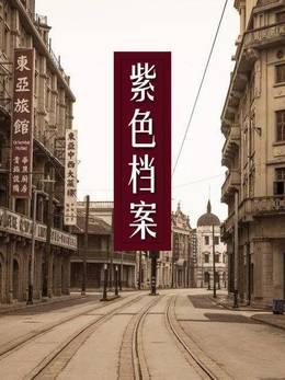 紫色档案
