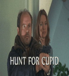 寻找丘比特
