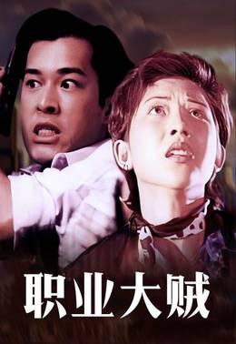 职业大贼