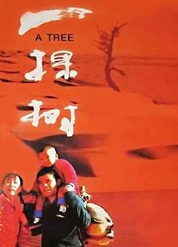 一棵树