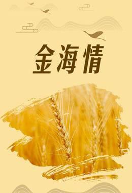 金海情