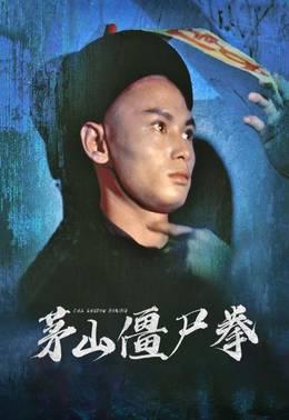 茅山僵尸拳