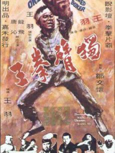 独臂拳王1972年