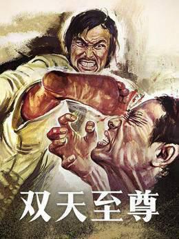 双天至尊