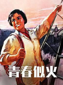 青春似火
