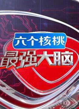 最强大脑第三季