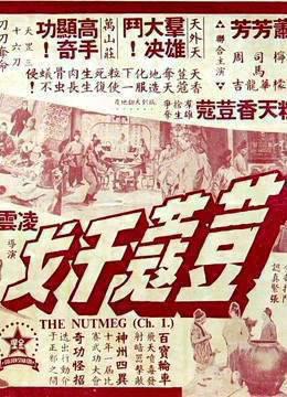 荳蔻干戈