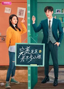 完美先生和差不多小姐印尼语字幕版