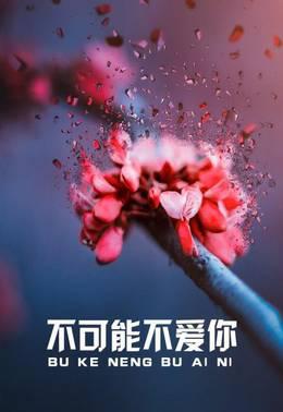不可能不爱你