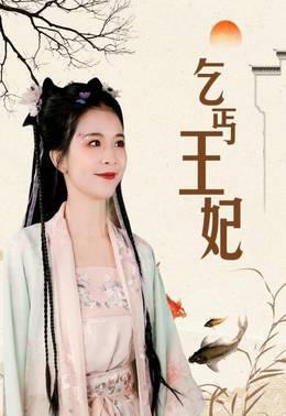 乞丐王妃