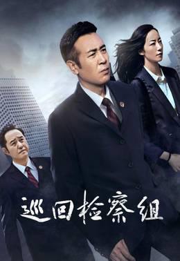 巡回检察组DVD版