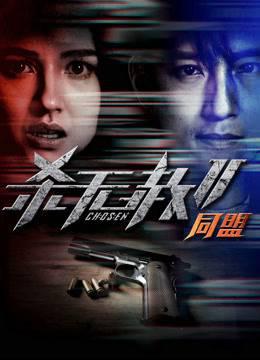 杀无赦2：Ⅱ同盟