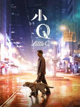 小Q