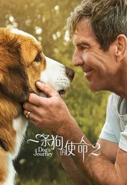 一条狗的使命2