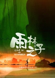 雨林之子