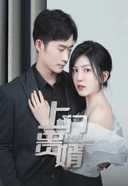 上门贵婿(2022)