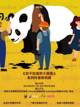 你不知道的大熊猫