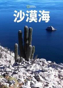 沙漠海第一季
