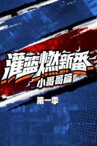 灌篮燃新番 小哥哥篇第一季