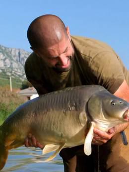 追捕巨鲤第四季