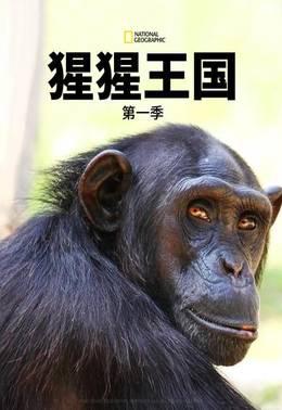 猩猩王国第一季
