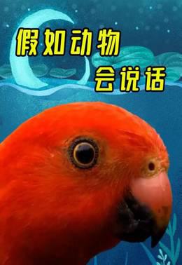 假如动物会说话