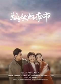 灿烂的季节