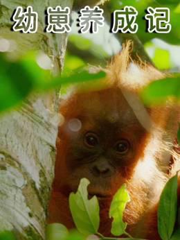 幼崽养成记