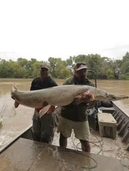 大鱼传说第一季