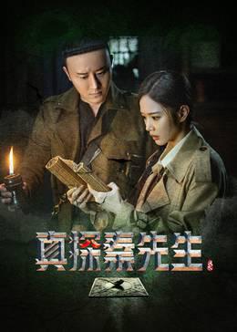 真探秦先生