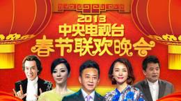 中央电视台春节联欢晚会2013