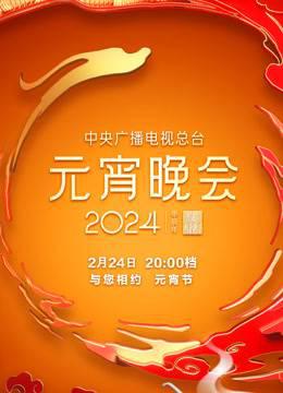 2024央视元宵晚会