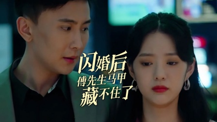 闪婚后傅先生马甲藏不住了